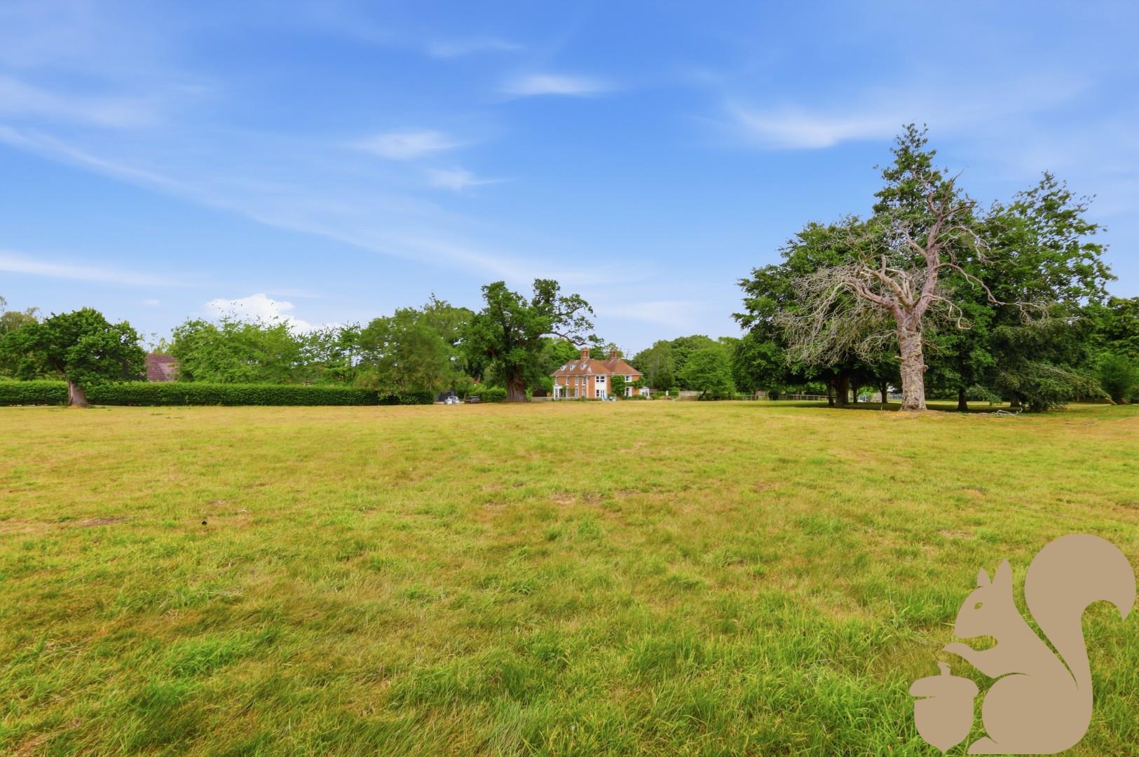 Grounds